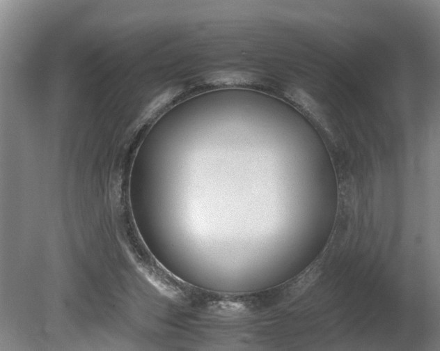 X0000081290159200701181818