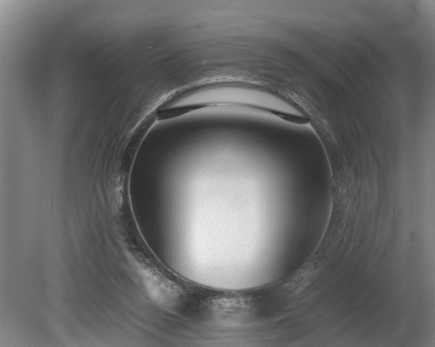 X0000081290160200701181818