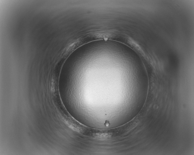 X0000081290161200701181818