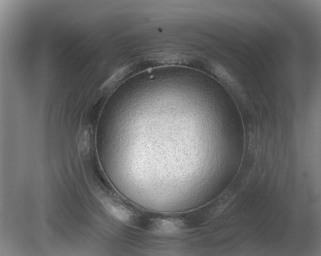 X0000081290165200701181818