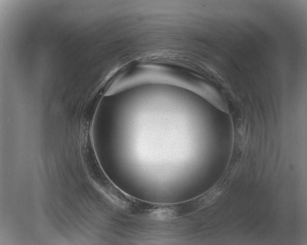 X0000081290168200701181818