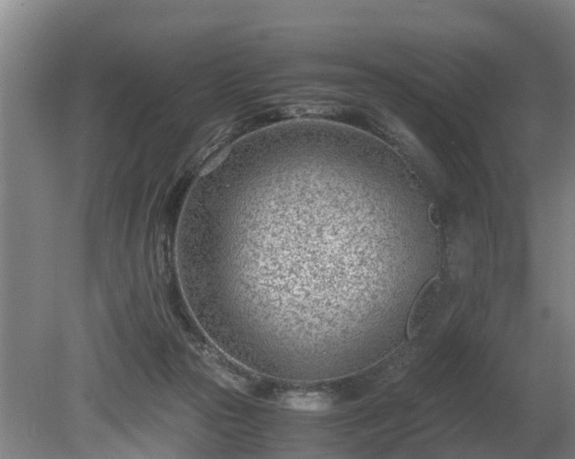 X0000081290169200701181818