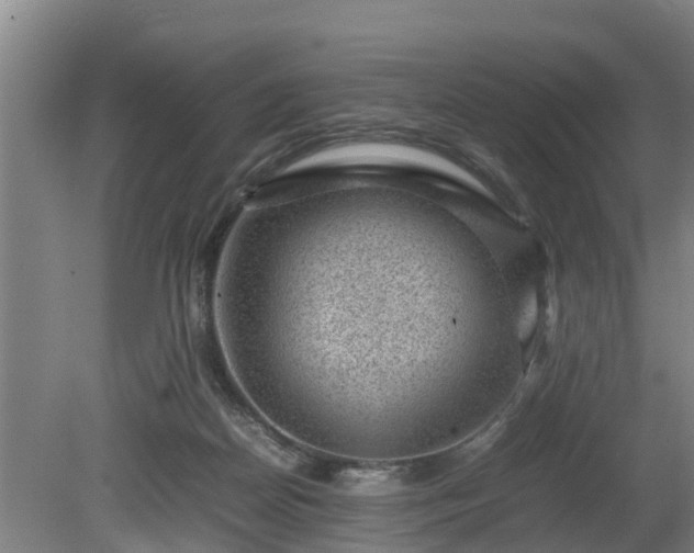 X0000081290170200701181818