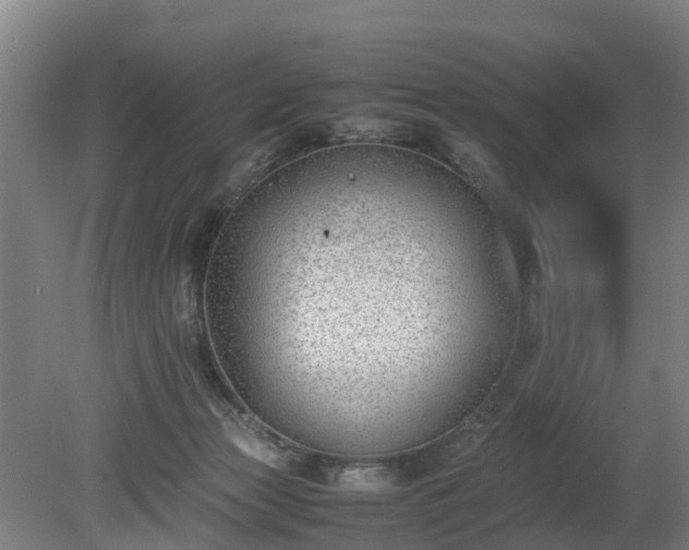 X0000081290173200701181818