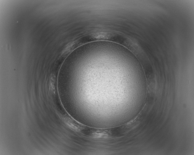 X0000081290175200701181818