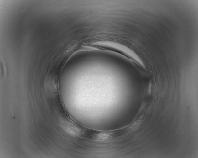 X0000081290176200701181818