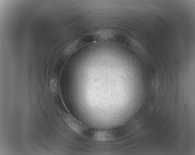 X0000081290177200701181818