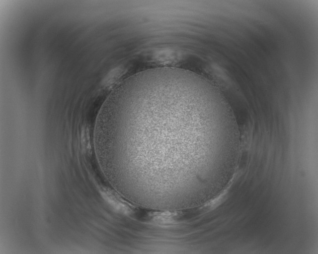 X0000081290182200701181819