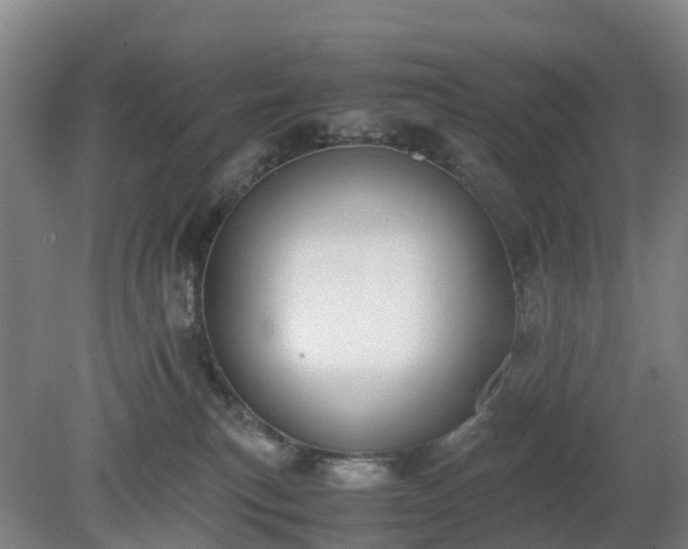 X0000081290183200701181819