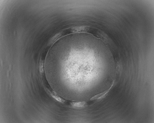 X0000081290191200701181819