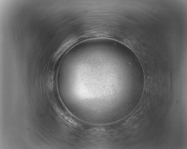 X0000081290194200701181818