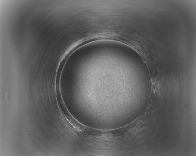 X0000081290196200701181818