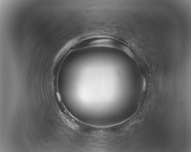 X0000081290197200701181818