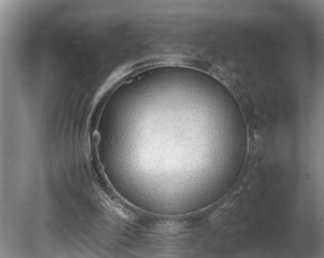 X0000081290198200701181818