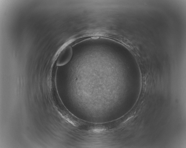 X0000081290200200701181818