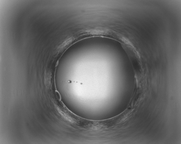 X0000081290201200701181818