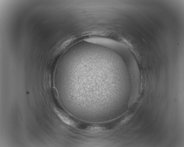 X0000081290205200701181818