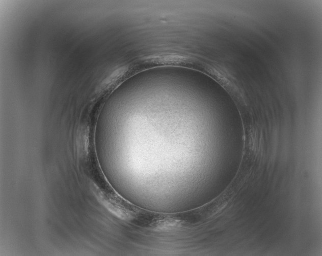 X0000081290206200701181818