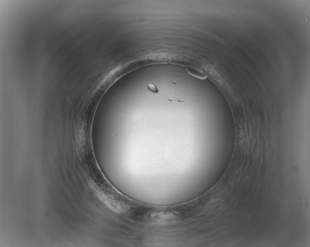 X0000081290208200701181818