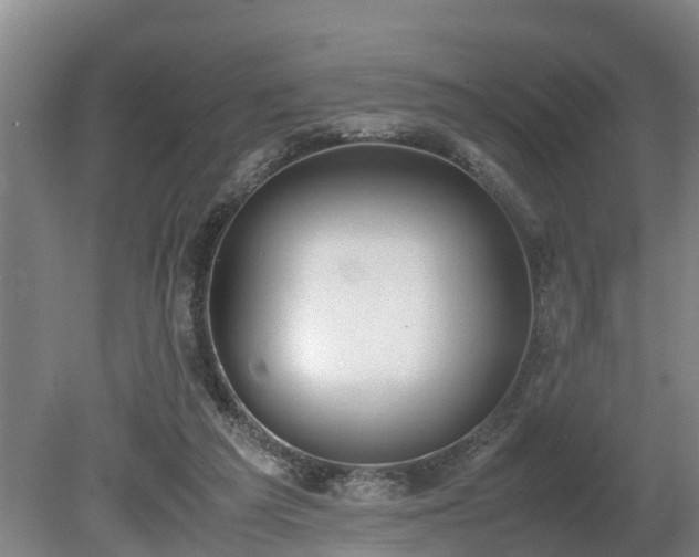 X0000081290209200701181818