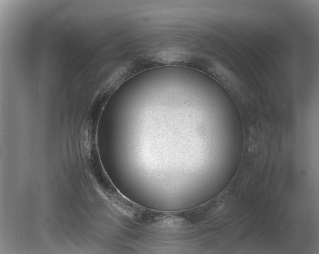 X0000081290210200701181818