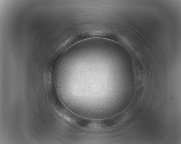 X0000081290211200701181818