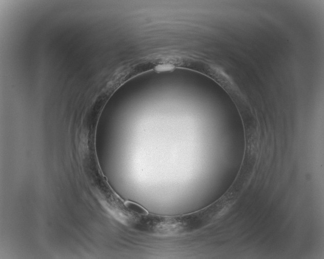 X0000081290213200701181818