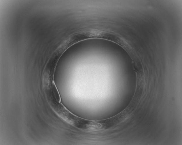 X0000081290215200701181818