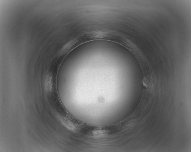 X0000081290216200701181818