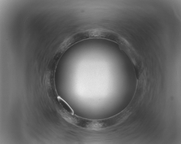 X0000081290217200701181817