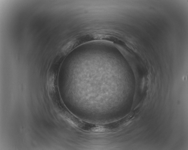 X0000081290219200701181817