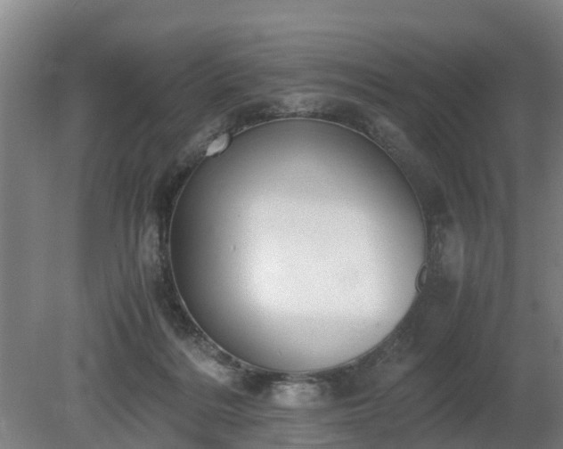 X0000081290220200701181817