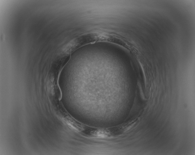 X0000081290223200701181817