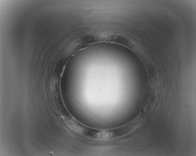 X0000081290225200701181817