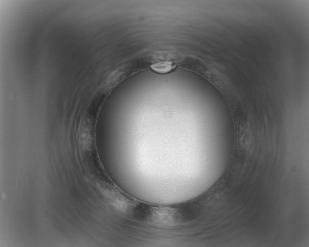 X0000081290226200701181817