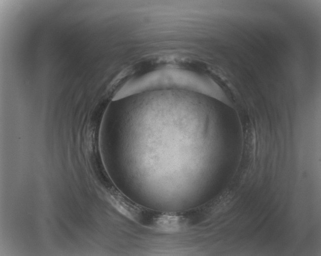 X0000081290227200701181817