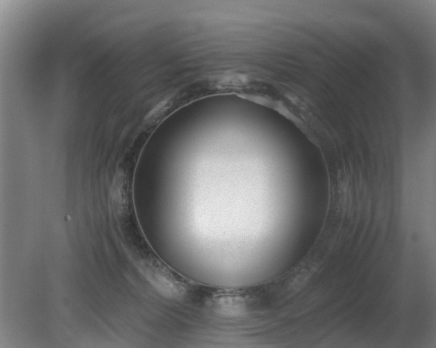 X0000081290228200701181817