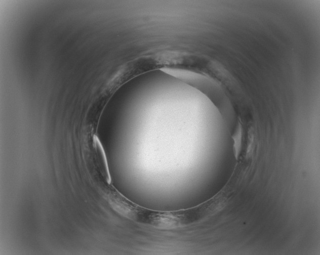 X0000081290229200701181817