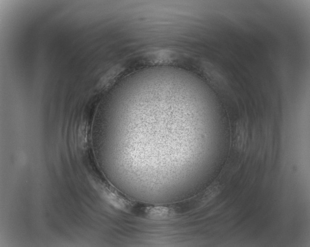 X0000081290230200701181817