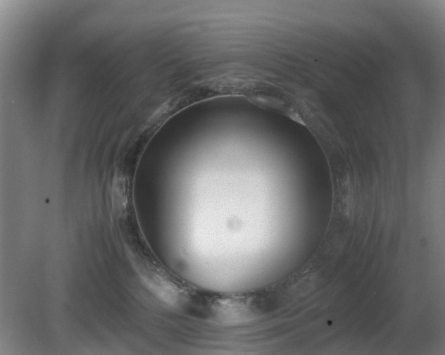 X0000081290232200701181817