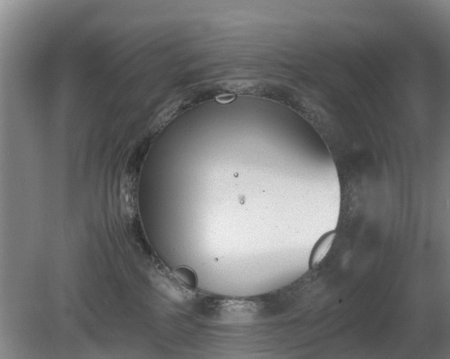 X0000081290234200701181817