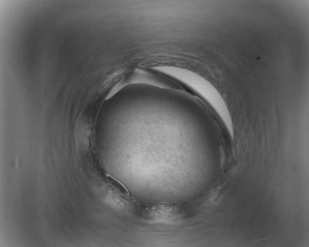 X0000081290235200701181817