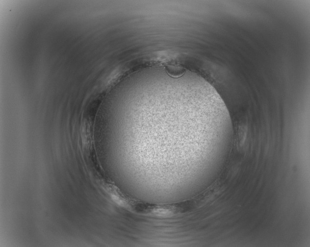 X0000081290236200701181817