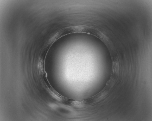 X0000081290238200701181817