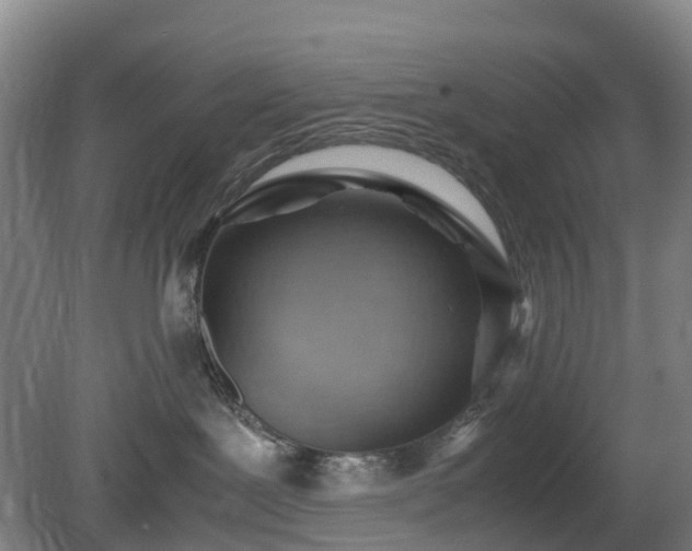 X0000081290239200701181817