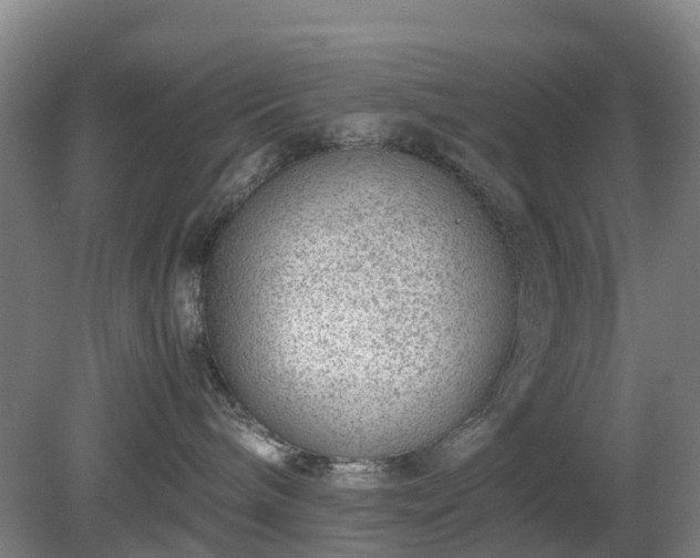 X0000081290240200701181817