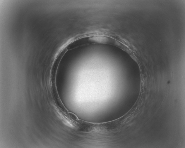 X0000081290248200701181816