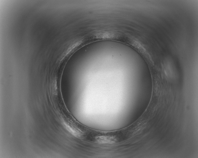 X0000081290251200701181816