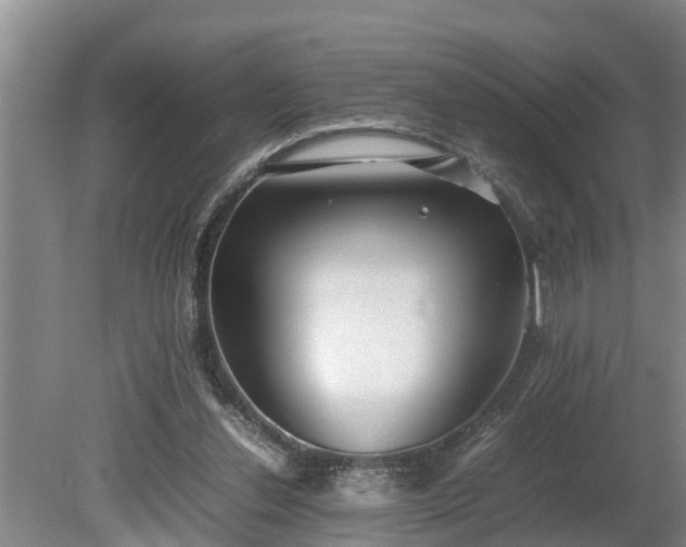 X0000081290252200701181816