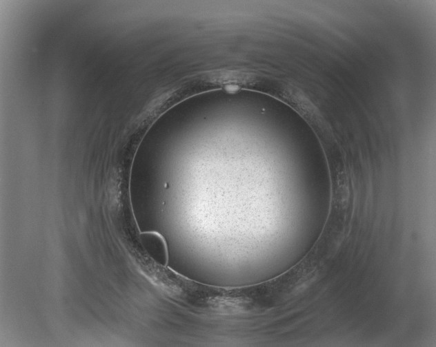 X0000081290255200701181817